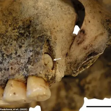 Hyperrealistic 3D Reconstructions Reveal Faces of 6,000-Year-Old Stone Age Sisters in Czech Republic