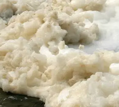 Nantucket Environmental Officials Issue Stark Warning: 'Avoid Shoreline Immediately Due to Toxic PFAS-Laced Sea Foam'