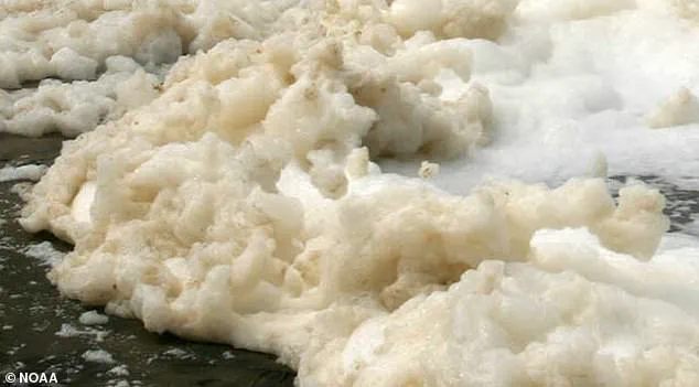 Nantucket Environmental Officials Issue Stark Warning: 'Avoid Shoreline Immediately Due to Toxic PFAS-Laced Sea Foam'