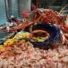 Privileged Access, Limited Time: The Exposed Reality of Caesar's Palace Buffet