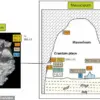Recent Discoveries Shed Light on the Enigmatic Petralona Skull Found in Greece