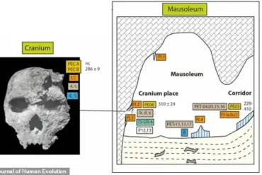 Recent Discoveries Shed Light on the Enigmatic Petralona Skull Found in Greece