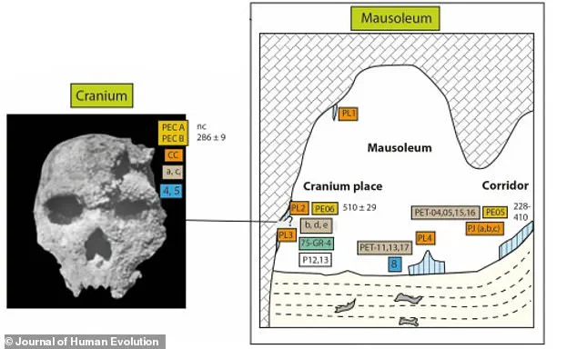 Recent Discoveries Shed Light on the Enigmatic Petralona Skull Found in Greece