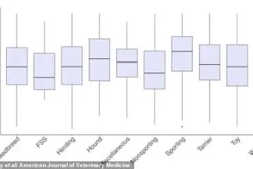 Scientists Explore Weight-Loss Drugs for Dogs as Pet Obesity Reaches Crisis Levels
