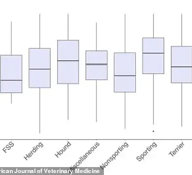 Scientists Explore Weight-Loss Drugs for Dogs as Pet Obesity Reaches Crisis Levels