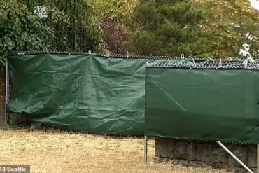 Seattle Park Regulations Spark Controversy Over Nudism and Public Space Rights