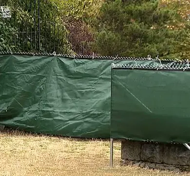 Seattle Park Regulations Spark Controversy Over Nudism and Public Space Rights