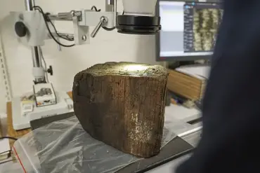 Stone Age Atlantis Unearthed: Submerged City Reveals 8,500-Year-Old Secrets Beneath Denmark’s Bay of Aarhus