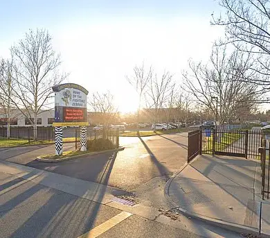 Student Body-Slammed by School Officer in Viral Video Sparks Debate Over Excessive Force and Discipline