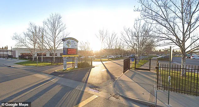 Student Body-Slammed by School Officer in Viral Video Sparks Debate Over Excessive Force and Discipline