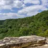 Tennessee Hiker Dies After Timber Rattlesnake Bite in Savage Gulf State Park