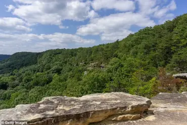 Tennessee Hiker Dies After Timber Rattlesnake Bite in Savage Gulf State Park