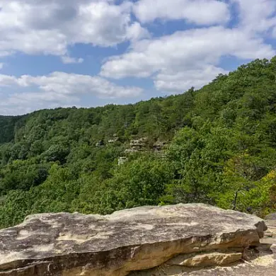 Tennessee Hiker Dies After Timber Rattlesnake Bite in Savage Gulf State Park