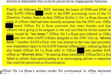 Texas Police Officer Fired After Alleged Offensive Remarks, Including Calling Colleagues 'Diversity Hires' and Mocking a Fellow Officer's C-Section