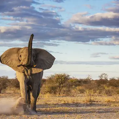 The Surprising Truth About Risk: How Everyday Dangers Outweigh Doomsday Scenarios