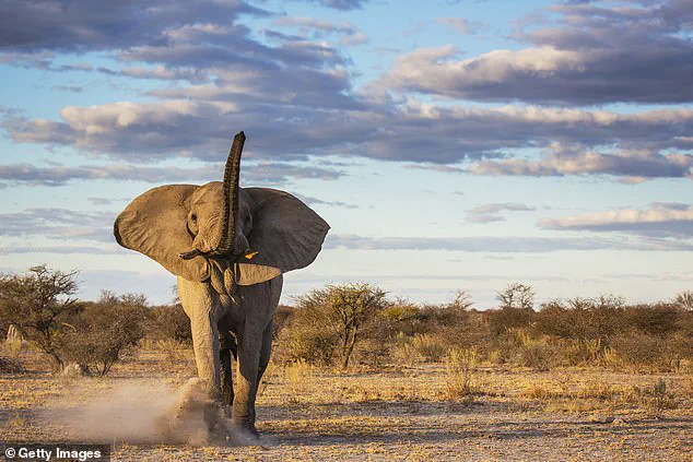 The Surprising Truth About Risk: How Everyday Dangers Outweigh Doomsday Scenarios