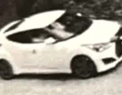 Tragedy Strikes Again: Mother Loses Twin Sons in Hit-and-Run Crash