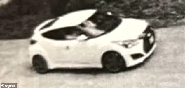 Tragedy Strikes Again: Mother Loses Twin Sons in Hit-and-Run Crash