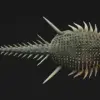 Unusual Armor of Newly Discovered Dinosaur Spicomellus Sheds New Light on Ankylosaur Evolution