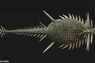 Unusual Armor of Newly Discovered Dinosaur Spicomellus Sheds New Light on Ankylosaur Evolution