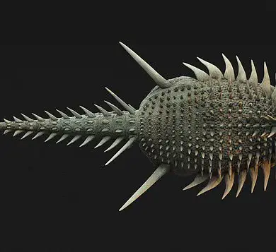 Unusual Armor of Newly Discovered Dinosaur Spicomellus Sheds New Light on Ankylosaur Evolution