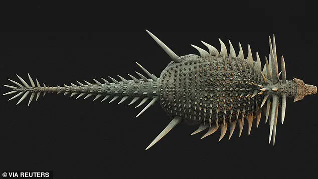 Unusual Armor of Newly Discovered Dinosaur Spicomellus Sheds New Light on Ankylosaur Evolution