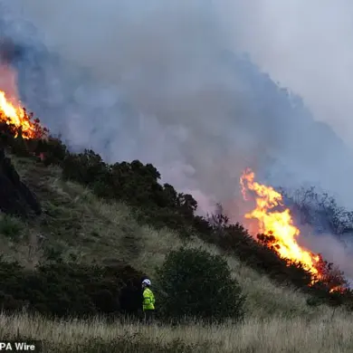 Urgent Warning: 'Firewave' Threatens UK Cities as Climate Change Sparks Urban Wildfires