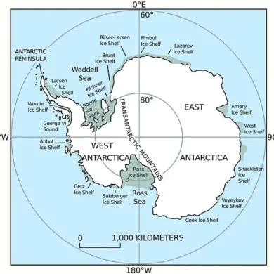 Urgent Warning: West Antarctic Ice Sheet's Potential Collapse Could Trigger 9.8ft Sea Level Rise, Scientists Warn