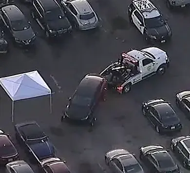 Decomposing Body Discovered in Tesla Impounded in Los Angeles, Registered to Pop Artist D4vd