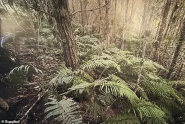 Exclusive Photos Reveal Remote Campsite: Privileged Access to Fugitive's Family's Location