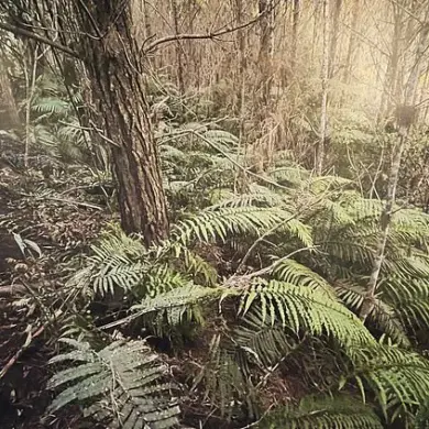 Exclusive Photos Reveal Remote Campsite: Privileged Access to Fugitive's Family's Location