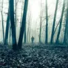 From Lake Michigan to Alaska: The Hidden Triangles of Unexplained Vanishings