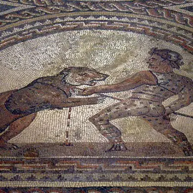 Roman Amphitheatre Fossil Evidence Uncovers Bear's Fatal Injury, Revealing Ancient Combat Risks