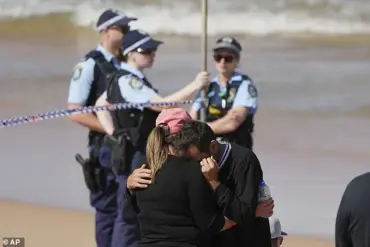 Seasoned Surfer Killed by Five-Metre Great White Shark in Dee Why Beach Attack